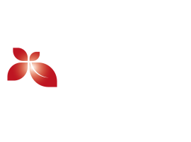 van iş yeri temizlik